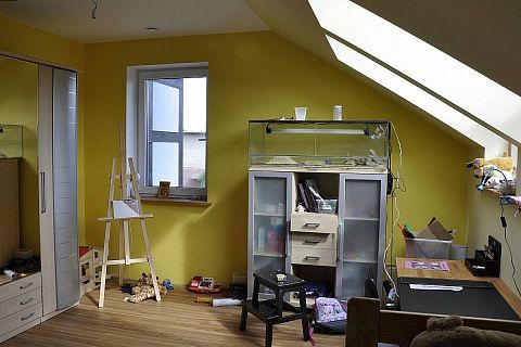 картинка Z161 