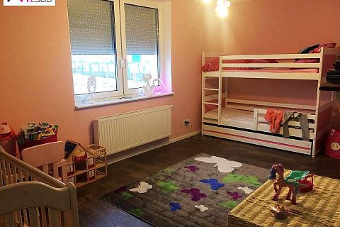 картинка Z241 