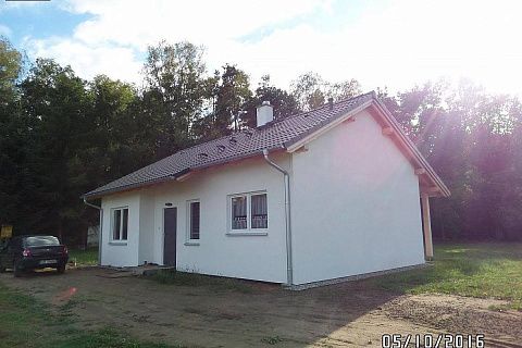 картинка Z262 