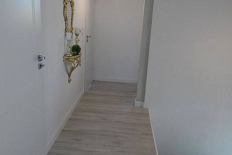 картинка Z119 