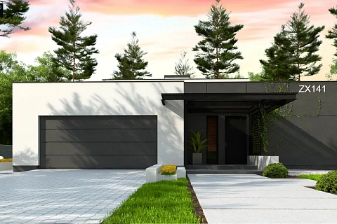 картинка Zx141 