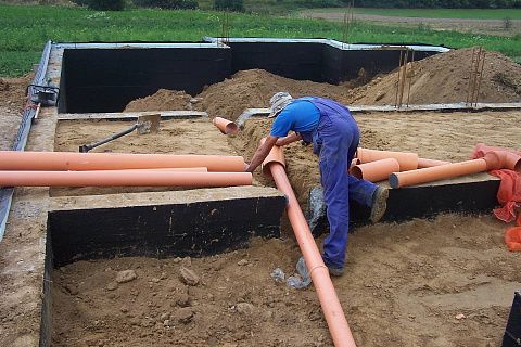 картинка Z95 