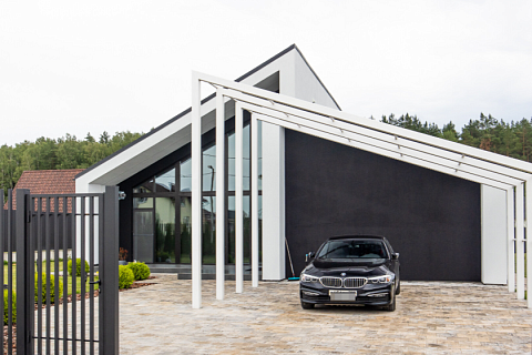 картинка Zx201 