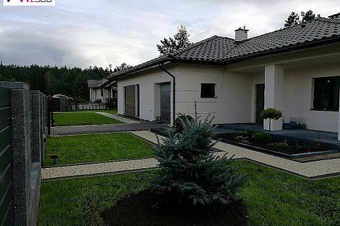 картинка Z268 