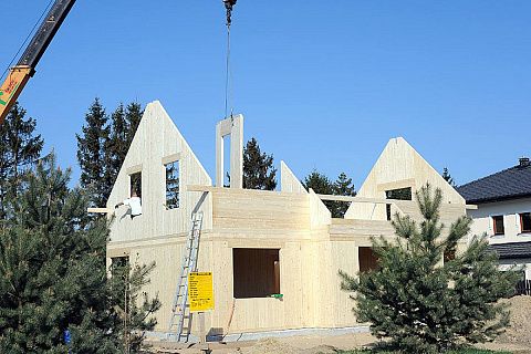 картинка Z79 