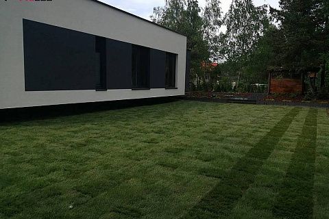 картинка Zx141 