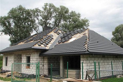 картинка Z84 