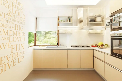 картинка Z210 v1 