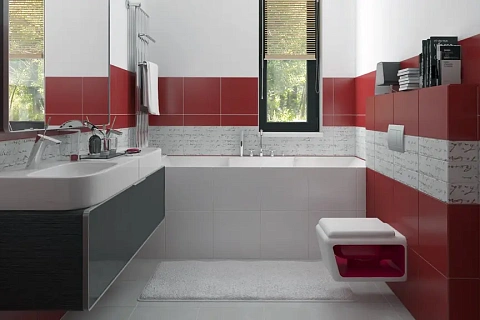 картинка Zx24 v2 