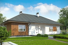 Комфортный одноэтажный дом в традиционном стиле.