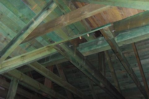 картинка Z79 