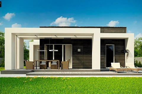 картинка Zx69 v1 