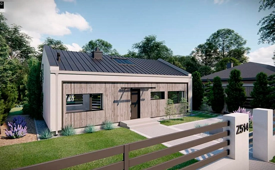 Современный функциональный одноэтажный дом с двускатной крышей