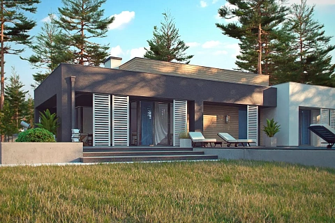 картинка Zx65 S 