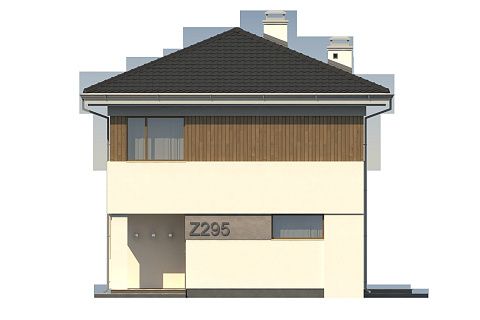 картинка Z295 