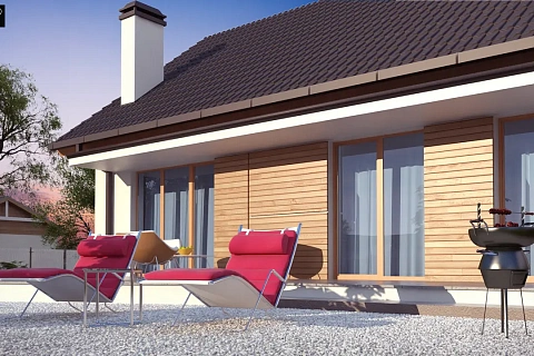 картинка Z313 