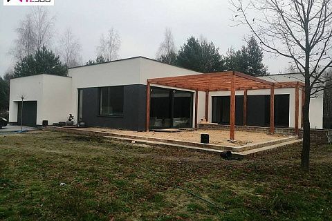 картинка Zx141 