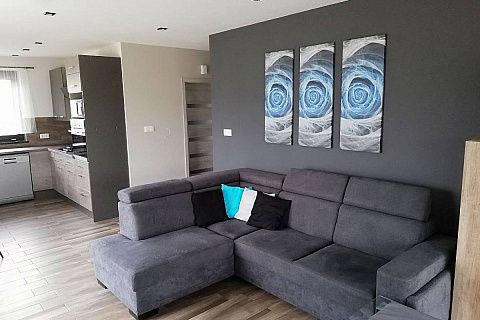 картинка Z308 