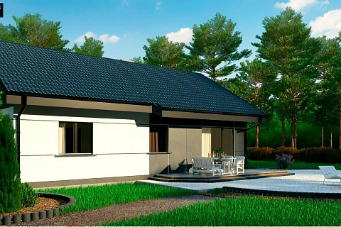 картинка Z454 v1 