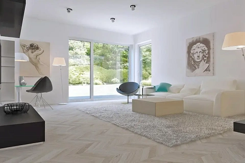 картинка Z295 