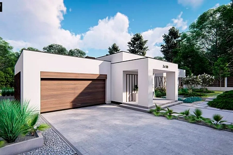 картинка Zx169 