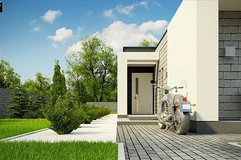 картинка Zx69 