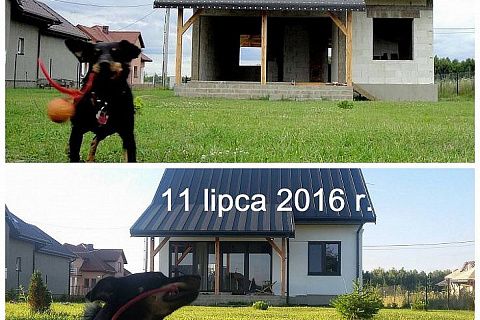 картинка Z211 