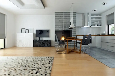 картинка Zx53 v1 