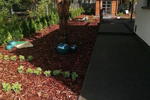 картинка Zx141 