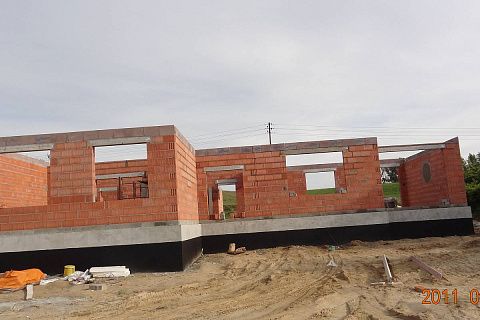 картинка Z81 