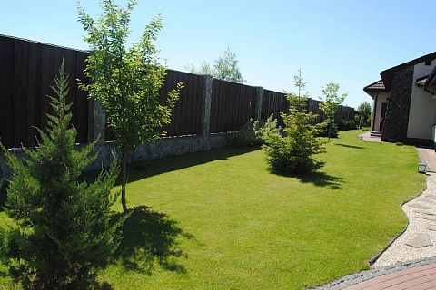 картинка Zr5 