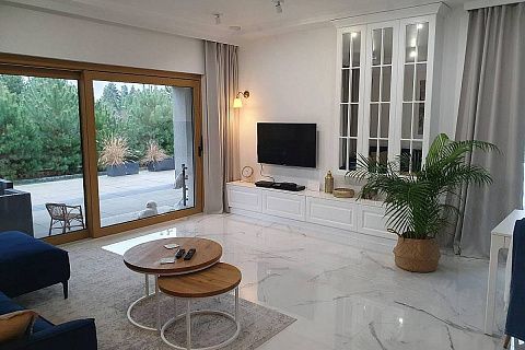 картинка Z377 B 