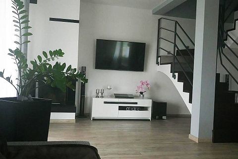 картинка Z119 