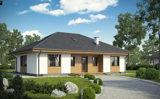 Комфортный одноэтажный дом традиционного дизайна.