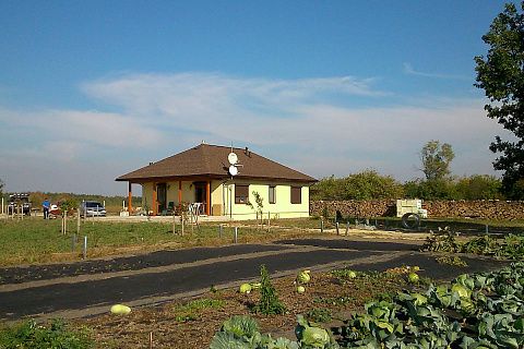 картинка Z55 