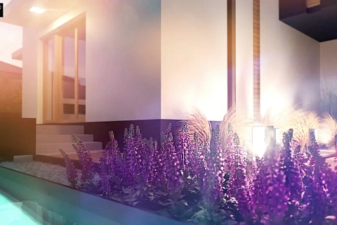 картинка Zx120 