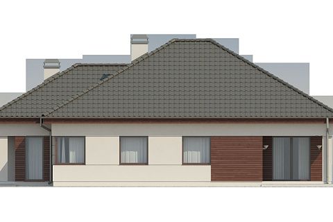картинка Z195 
