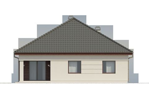 картинка Z195 