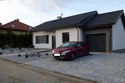 картинка Z262 