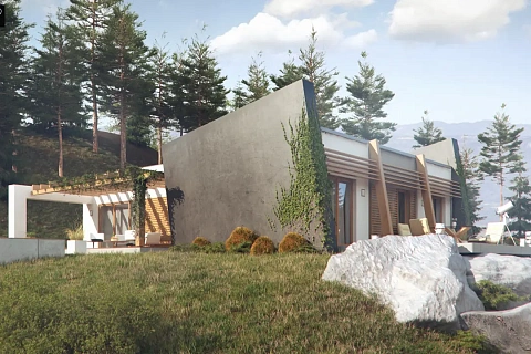 картинка Zx106 