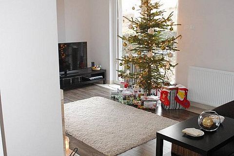 картинка Z14 