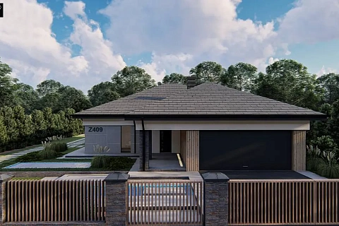 картинка Z409 