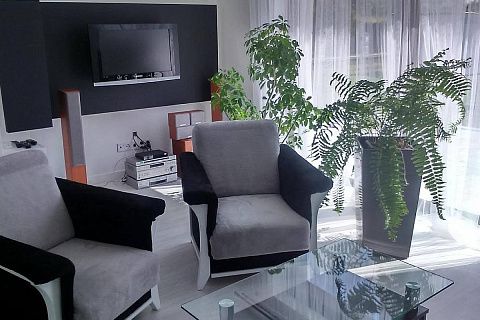 картинка Zx29 