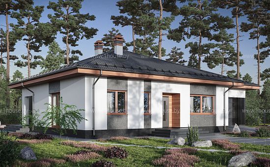 Одноэтажный дом с гаражом и 3мя спальнями.