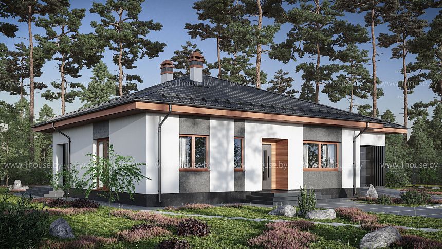 Одноэтажный дом с гаражом и 3мя спальнями.