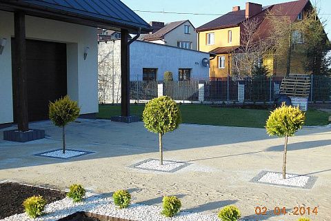 картинка Z119 