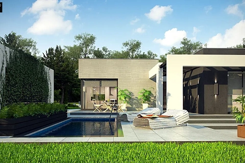 картинка Zx79 