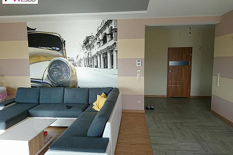 картинка Z281 