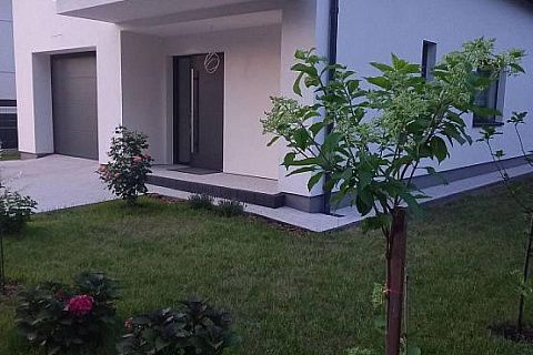 картинка Z154 