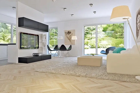 картинка Z295 